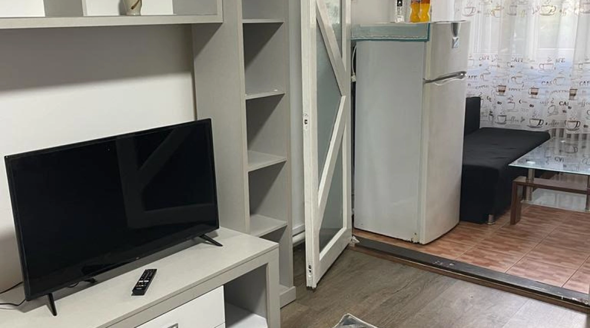 Oferta De inchiriat apartament, 1 camera, decomandat, 25 mp, Alexandru cel Bun,  PIATA VOIEVOZILOR imagine 2