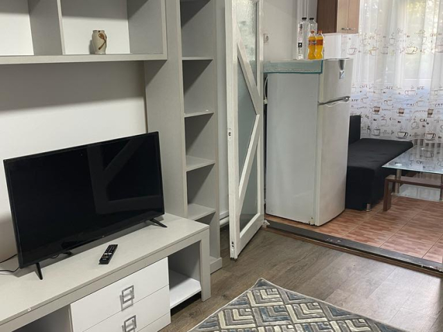 De inchiriat apartament, 1 camera,  decomandat,  25 mp, Alexandru cel Bun,  (PIATA VOIEVOZILOR) 163482