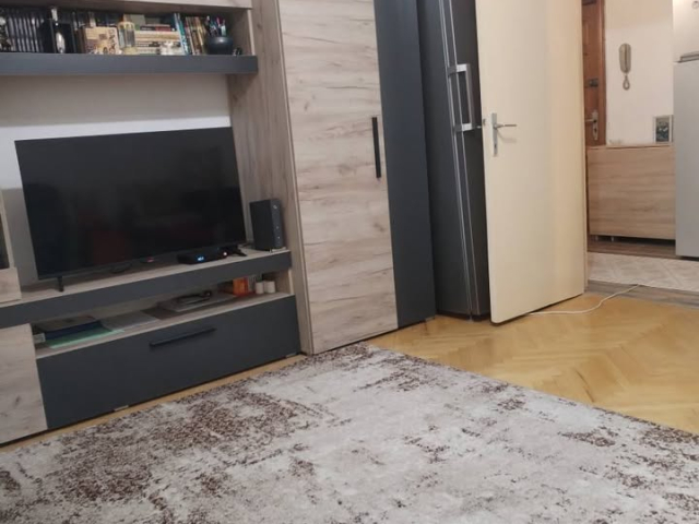 De vanzare apartament, 1 camera,  decomandat,  40 mp, Oancea,  (La Doi Pasi) 163277