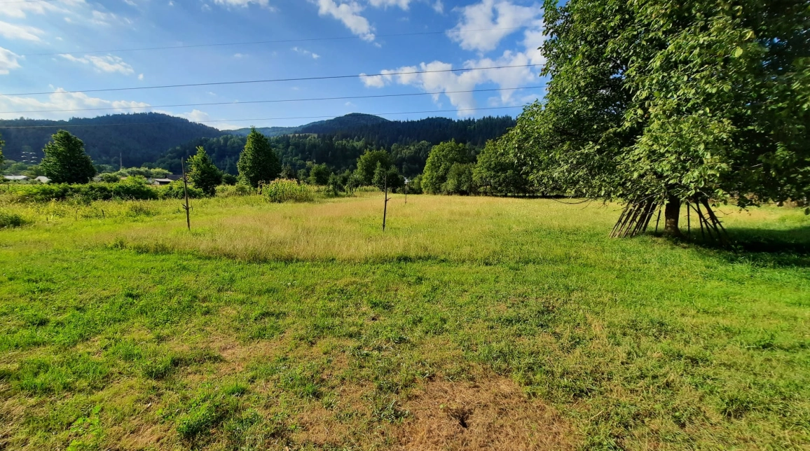 Oferta Teren de vanzare Alexandru cel bun (Jud. Neamt) Vadurele 2991 mp  imagine 1