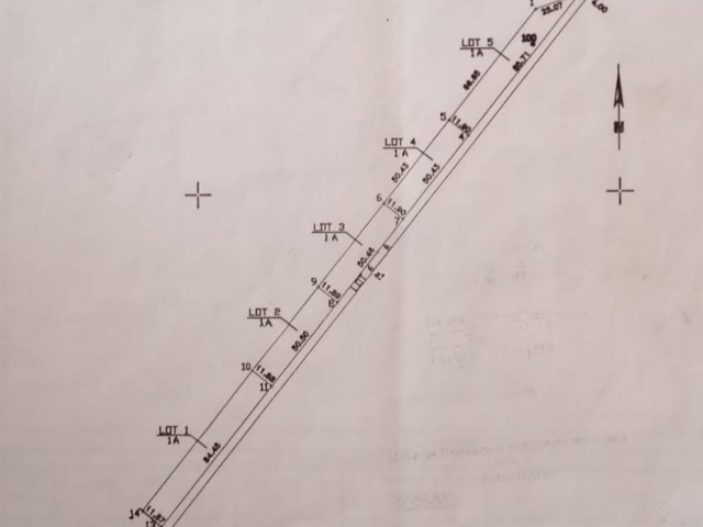 Teren  Vorovesti Ferma Liliac 0mp  161384