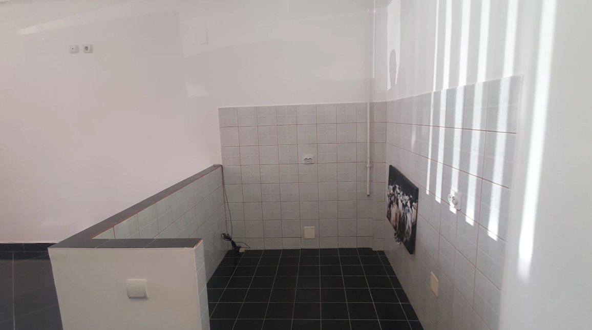 Oferta Spatiu comercial de inchiriat Calea Romanului White Lady  50mp  imagine 4