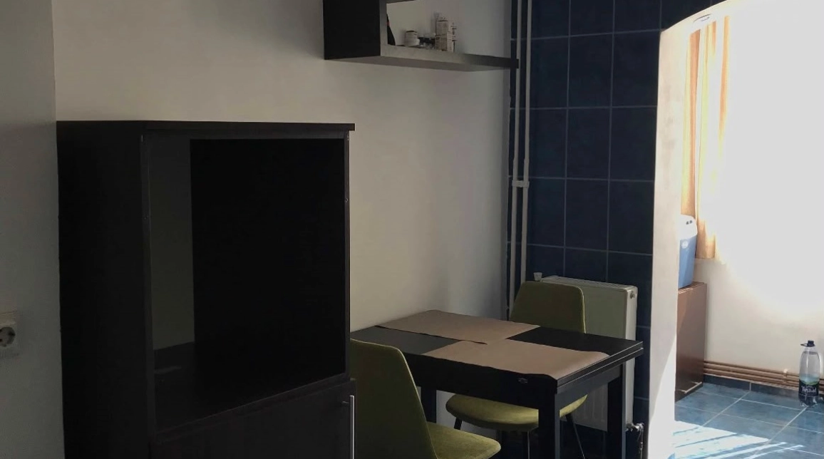 Oferta Apartament de inchiriat, 2 camere, decomandat, 54 mp, Nicolina,  Mega Image imagine 4