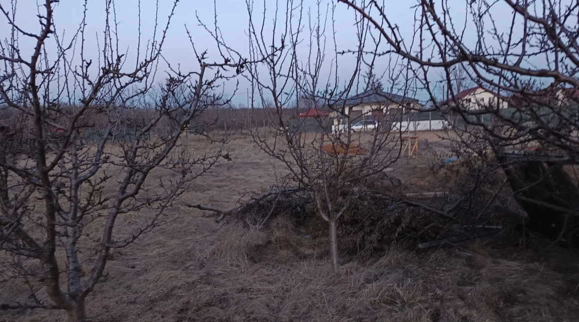 Oferta Teren de vanzare Valea Ursului  casuta cu furaje 600 mp  imagine 1