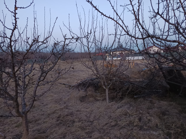 Teren  Valea Ursului  casuta cu furaje 600mp  161312