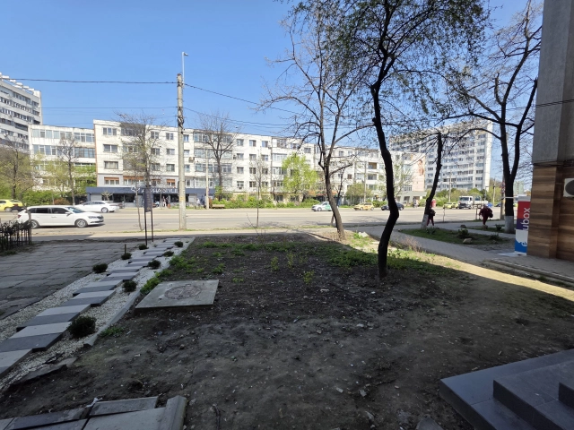 Apartament 4 camere - Nicolina