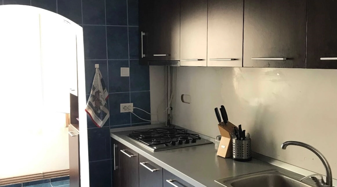 Oferta Apartament de inchiriat, 2 camere, decomandat, 54 mp, Nicolina,  Mega Image imagine 3