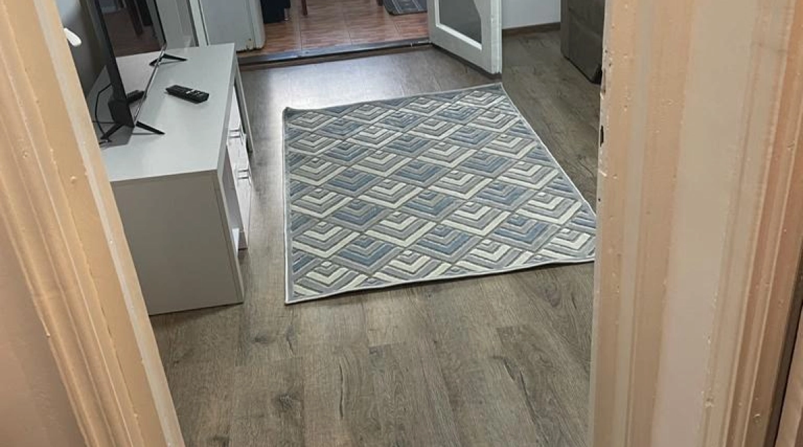 Oferta De inchiriat apartament, 1 camera, decomandat, 25 mp, Alexandru cel Bun,  PIATA VOIEVOZILOR imagine 9