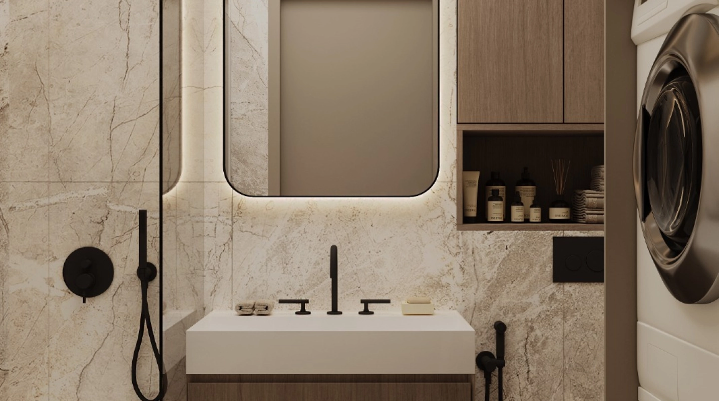 Proiect Vlaicu87 imagine 19