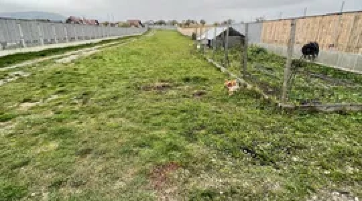 Oferta Teren de vanzare Garcina Almas 3400 mp  imagine 6