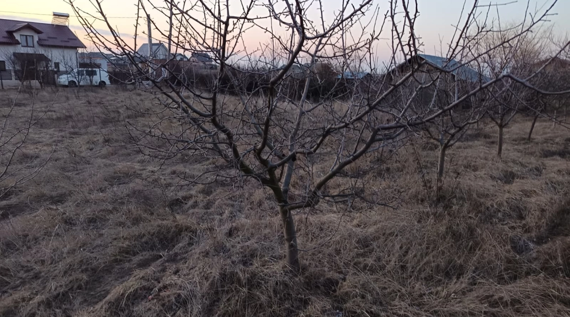 Oferta Teren de vanzare Valea Ursului  casuta cu furaje 600 mp  imagine 2