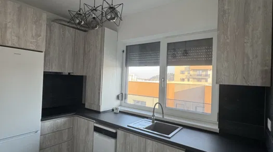 Oferta 1 camera, semidecomandat, 42 mp, de inchiriat apartament in zona Frumoasa,  Manta Rosie imagine 5