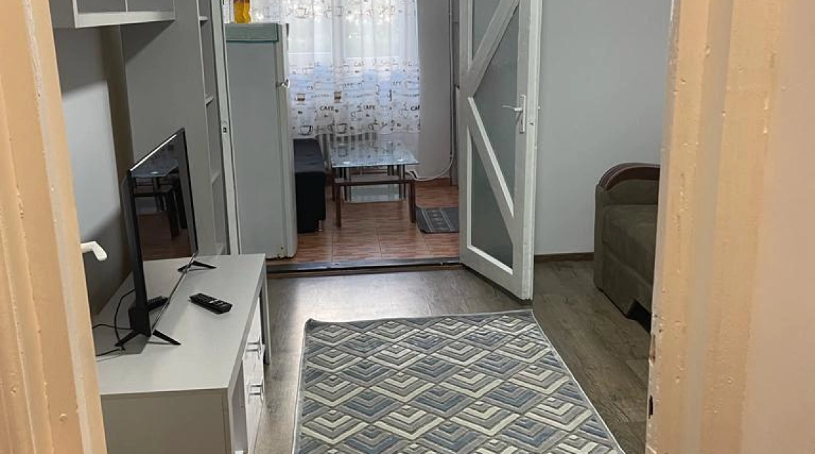 Oferta De inchiriat apartament, 1 camera, decomandat, 25 mp, Alexandru cel Bun,  PIATA VOIEVOZILOR imagine 6