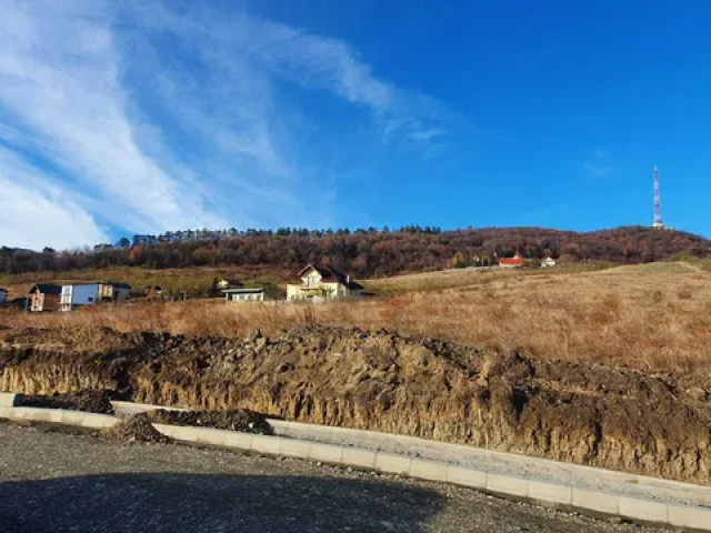 Teren  Pietricica  1500mp  156984