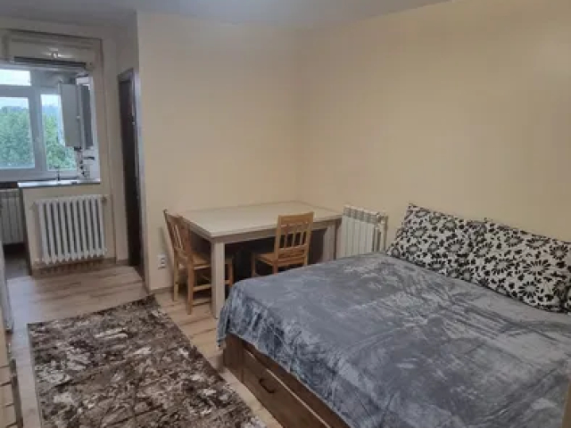 De inchiriat apartament, 1 camera,  garsoniera,  24 mp, Galata,  (Penny) 162757