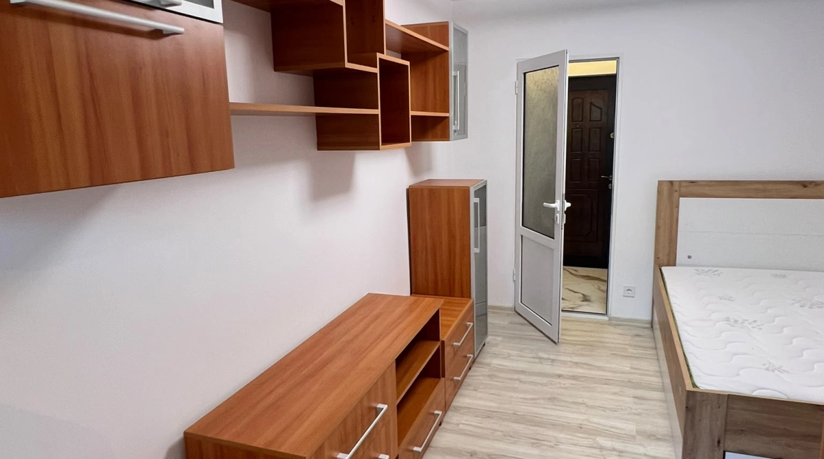 Oferta Apartament, 1 camera decomandat, 22 mp, Nicolina, de vanzare,  Bradului imagine 3