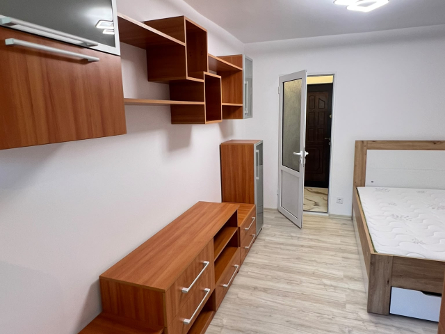 Apartament, 1 camera  decomandat,  22 mp, Nicolina, de vanzare,  (Bradului) 163131