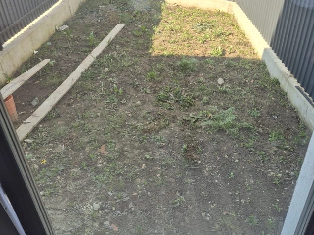 Apartament 3 camere - Bucium