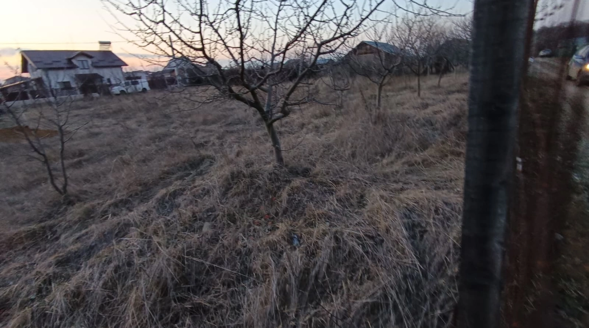 Oferta Teren de vanzare Valea Ursului  casuta cu furaje 600 mp  imagine 4