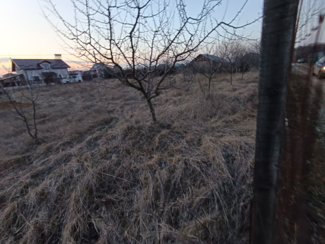 Teren  Valea Ursului  casuta cu furaje 600mp  161312