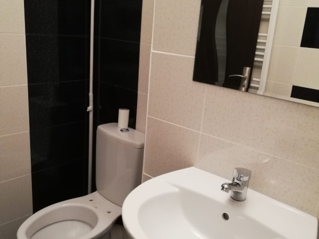 2 camere,  semidecomandat,  52 mp, de vanzare apartament in zona Podu Ros,  (Salubris) 161108