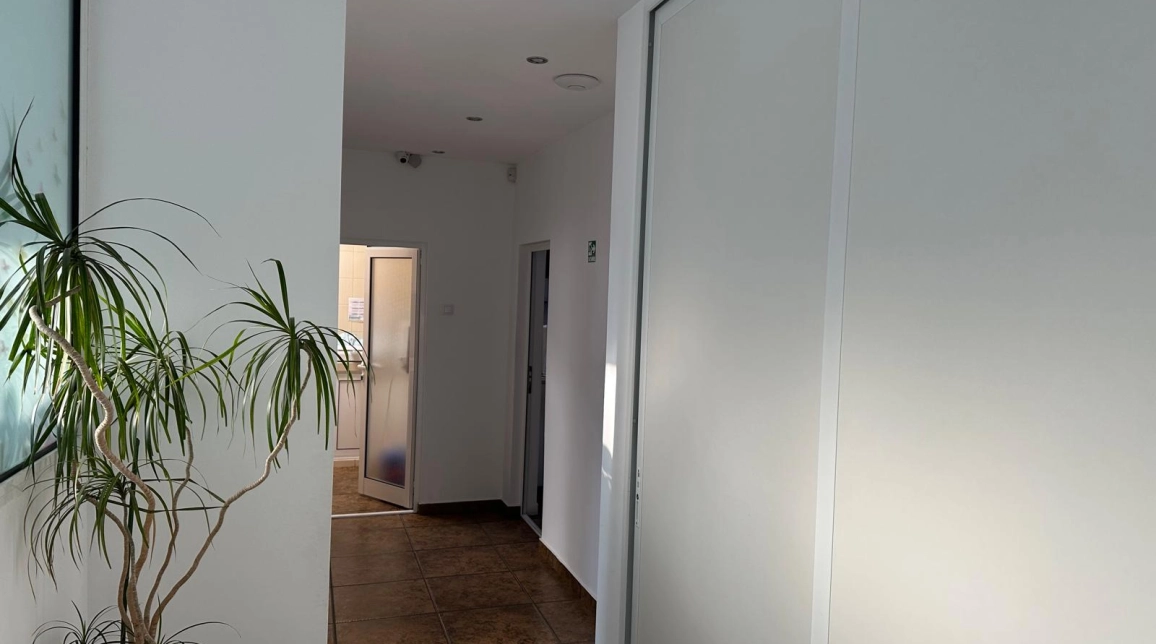 Oferta Spatiu comercial de vanzare Podu Ros dupa pasapoarte 70mp  imagine 8