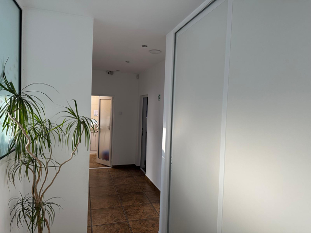 Spatiu comercial Podu Ros dupa pasapoarte 70mp  161567