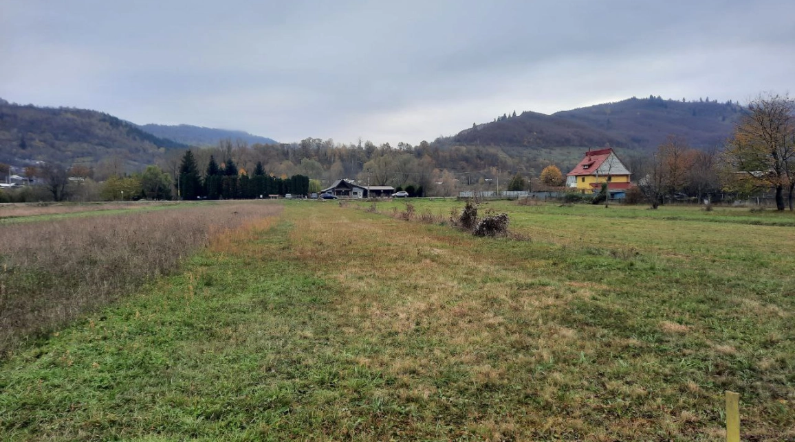 Oferta Teren de vanzare Pangarati Stejaru 3549 mp  imagine 2