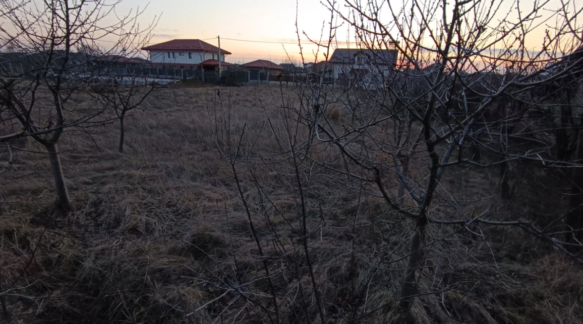 Oferta Teren de vanzare Valea Ursului  casuta cu furaje 600 mp  imagine 5