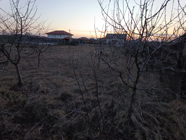 Teren  Valea Ursului  casuta cu furaje 600mp  161312