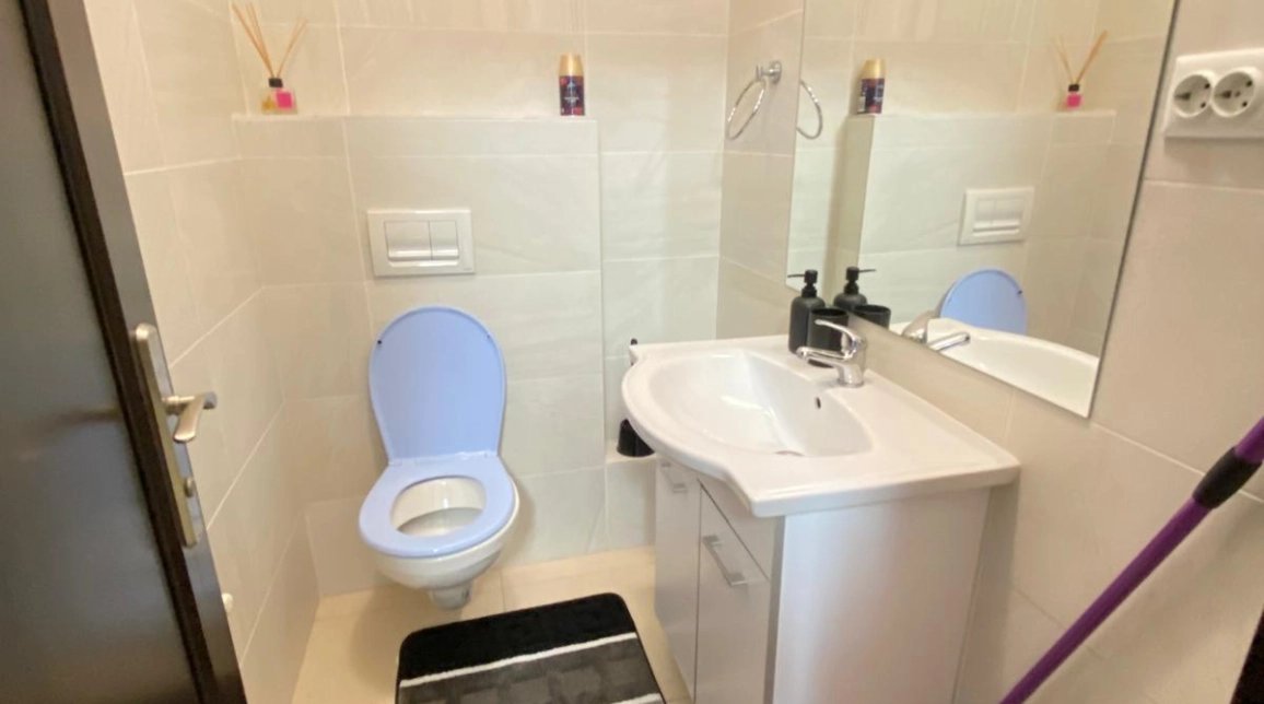 Oferta Centru apartament 76 mp, 3 camere, decomandat, de inchiriat,  Pallas Mall - Lazar Residence imagine 8