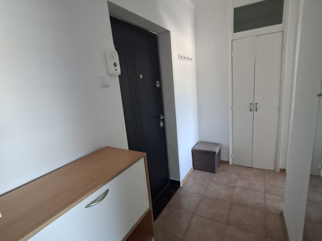 Apartament de inchiriat, 1 camera,  decomandat,  47 mp, Nicolina,  (Pizza Nico) 162715