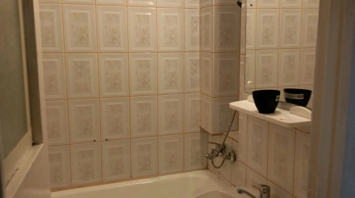 Oferta 2 camere, semidecomandat, 54 mp, de inchiriat apartament in zona Tatarasi,  Piata Chirila - Ateneu imagine 11