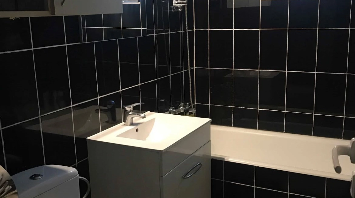 Oferta Apartament de inchiriat, 2 camere, decomandat, 54 mp, Nicolina,  Mega Image imagine 6