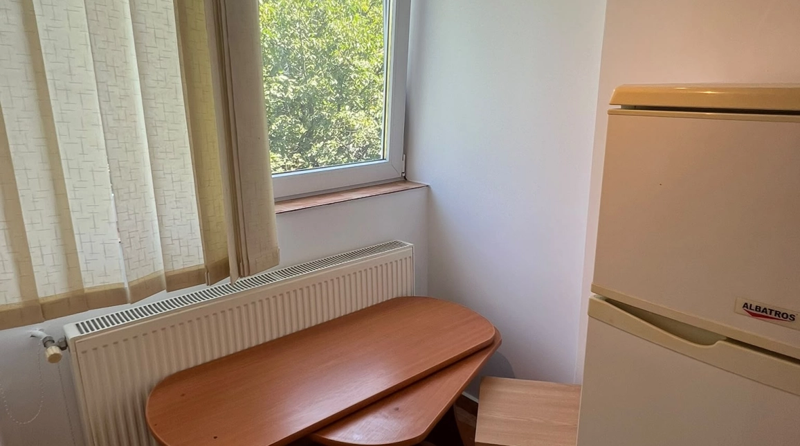 Oferta Apartament, 1 camera decomandat, 22 mp, Nicolina, de vanzare,  Bradului imagine 9