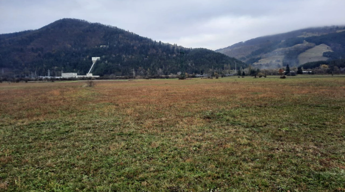 Oferta Teren de vanzare Pangarati Stejaru 3549 mp  imagine 1