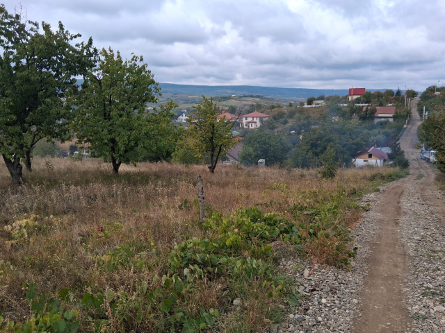 Teren  Tomesti Chicerea dupa Scoala 463mp  162884