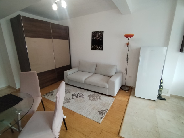 De inchiriat apartament, 1 camera,  open-space,  25 mp, Copou,  (Exclusive Residence / Stadionul Municipal) 163012