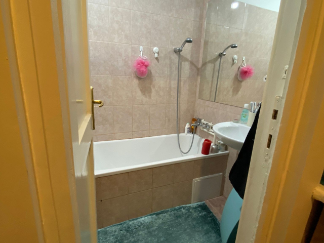 Titan apartament  24 mp, 1 camera,  garsoniera, de inchiriat,  (Parcul Alexandru Ioan Cuza (IOR)) 163369