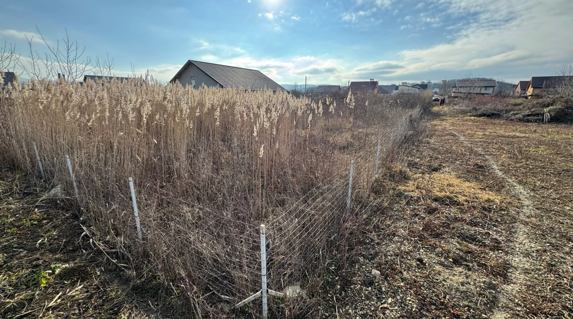 Oferta Teren de vanzare Lunca Cetatuii Cartier CHIHAN 947 mp  imagine 4