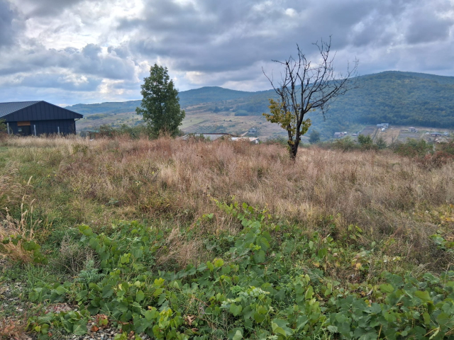 Teren  Tomesti Chicerea dupa Scoala 463mp  162884