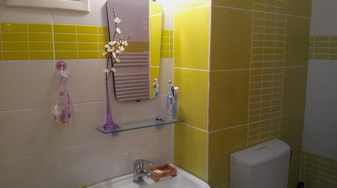 Oferta Apartament de inchiriat, 2 camere, decomandat, 55 mp, Centru,  Piata Unirii imagine 9