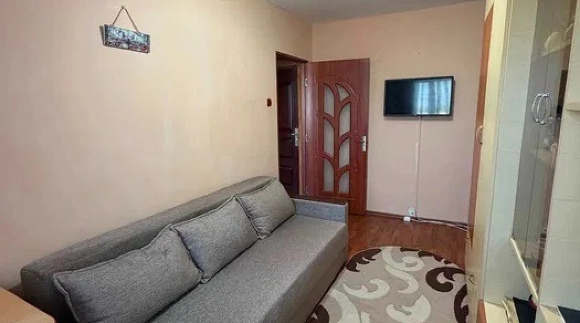 Oferta Podu Ros apartament 30 mp, 1 camera, decomandat, de vanzare,  Piata Nicolina imagine 2
