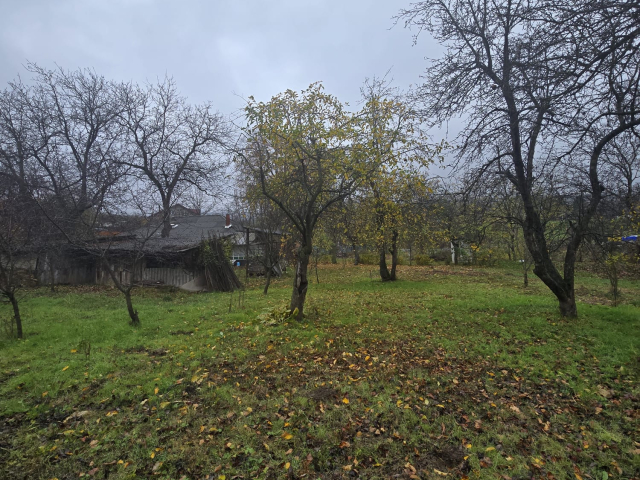 Teren  Tomesti Biserica 500mp  160514