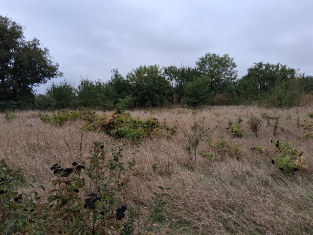 Teren  Ciurea inainte de a 2 cale ferata 642mp  161753