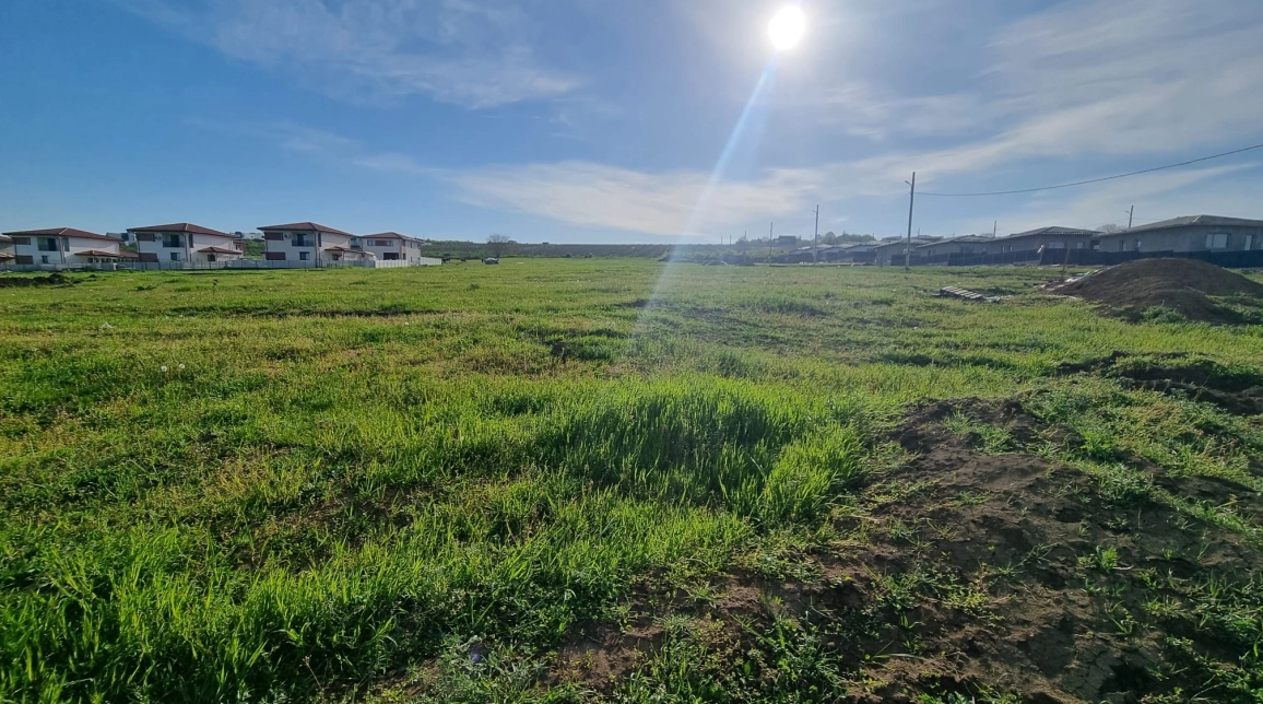 Oferta Teren de vanzare Visani TLT Visan 500 mp  imagine 1