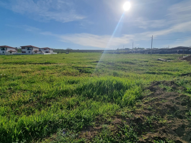 Teren  Visani TLT Visan 500mp  162282