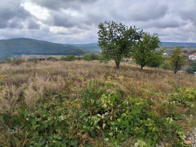 Teren  Tomesti Chicerea dupa Scoala 463mp  162884