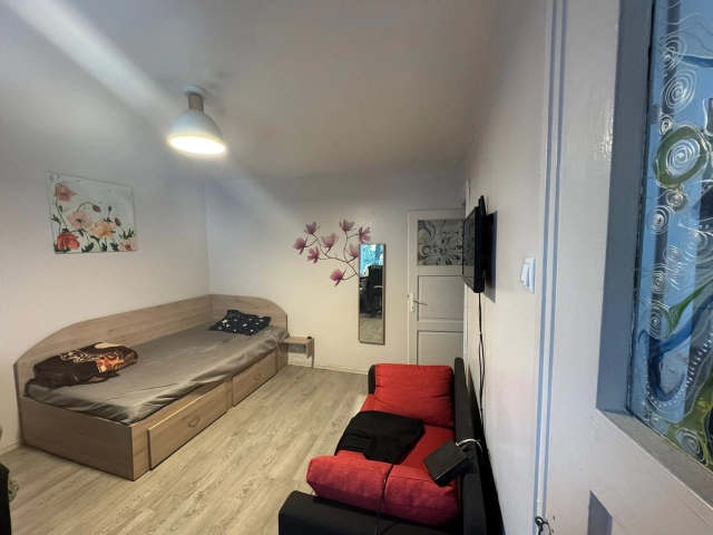 Apartament 1 camere - Central
