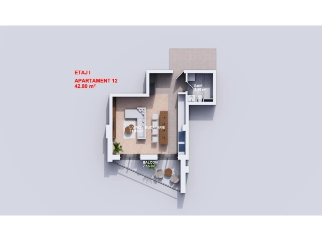 Apartament 1 camere - Visani